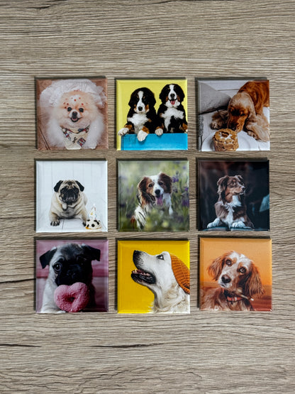 9er Set Lieblingsmagnete